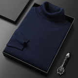 Cuello alto de cachemira Alioth